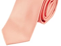 Kép 2/2 - Férfi nyakkendő - lazac